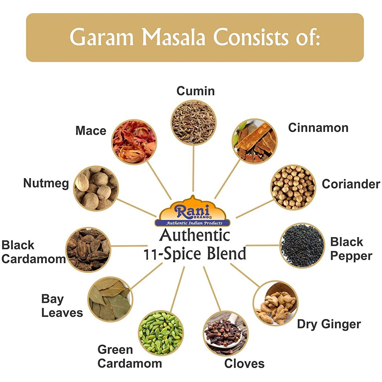 Rani Garam Masala Indian 11 Spice Blend 25 Pound (400 Ounce) 11.36kg ~ Bulk Box, Salt Free ~ All Natural | Vegan | Gluten Free Ingredients | NON-GMO | No Colors | Indian Origin