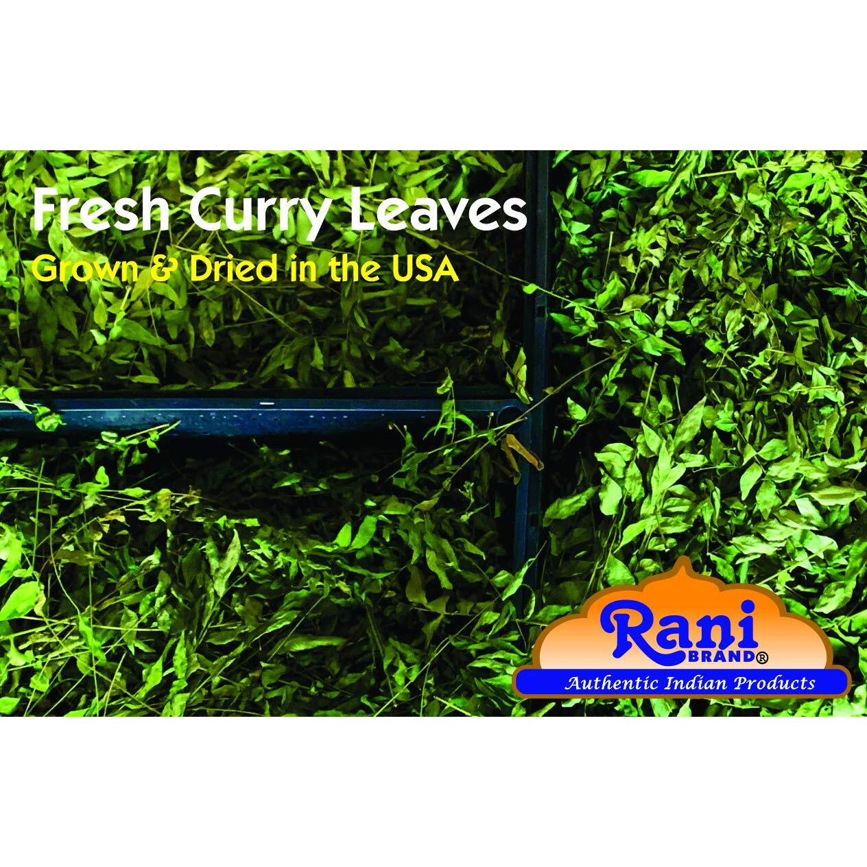 Rani Dried Curry Whole Leaves (Kari Neem Patha) Indian Spice 0.5oz (14g) ~ Non-irradiated, All Natural, Vegan, Gluten Friendly, NON-GMO, Product of USA