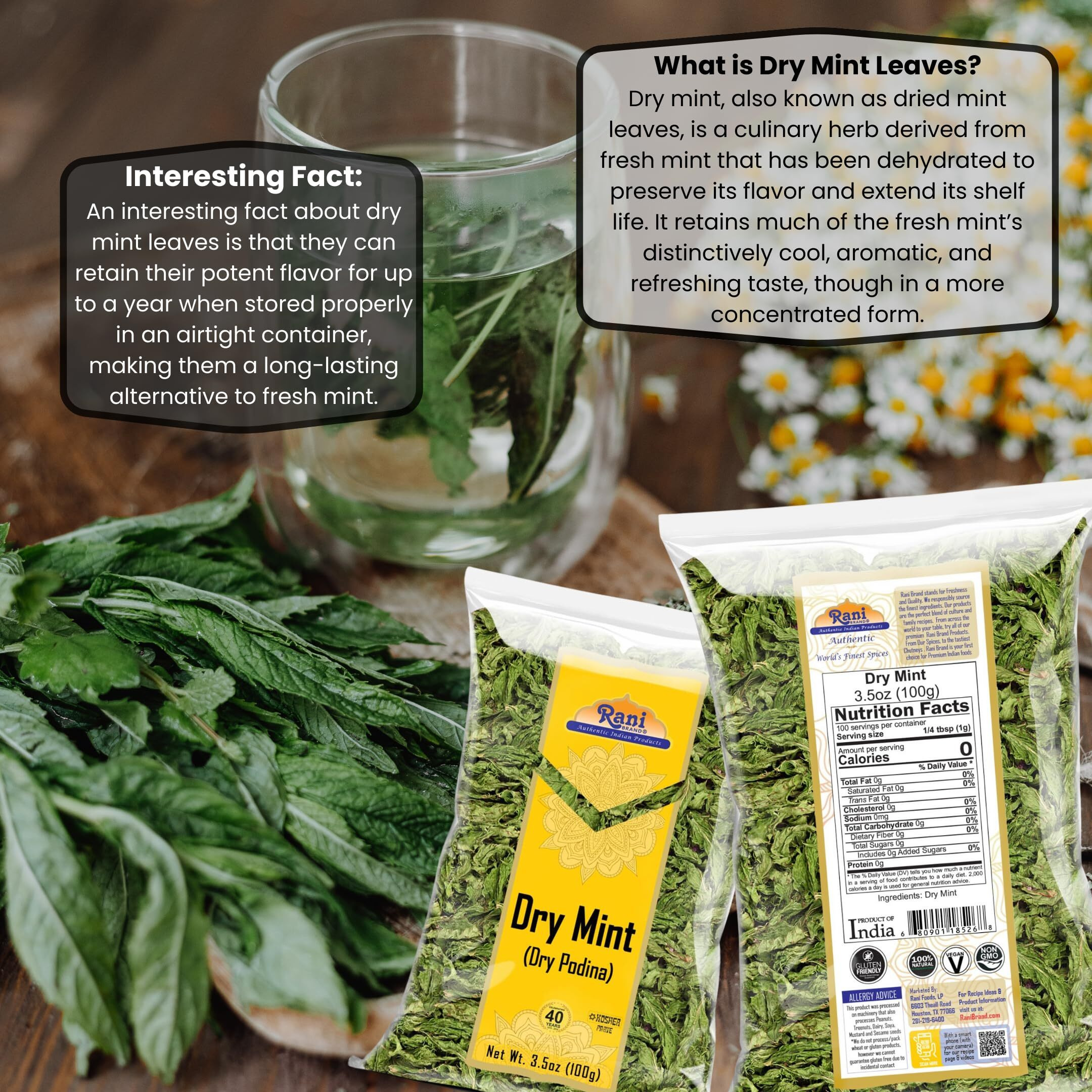 Rani Dry Mint Leaves (Podina Leaf) Spice, Dried Herb 3.5oz (100g) ~ All Natural, Gluten Friendly, NON-GMO, Kosher, Vegan, Indian Origin