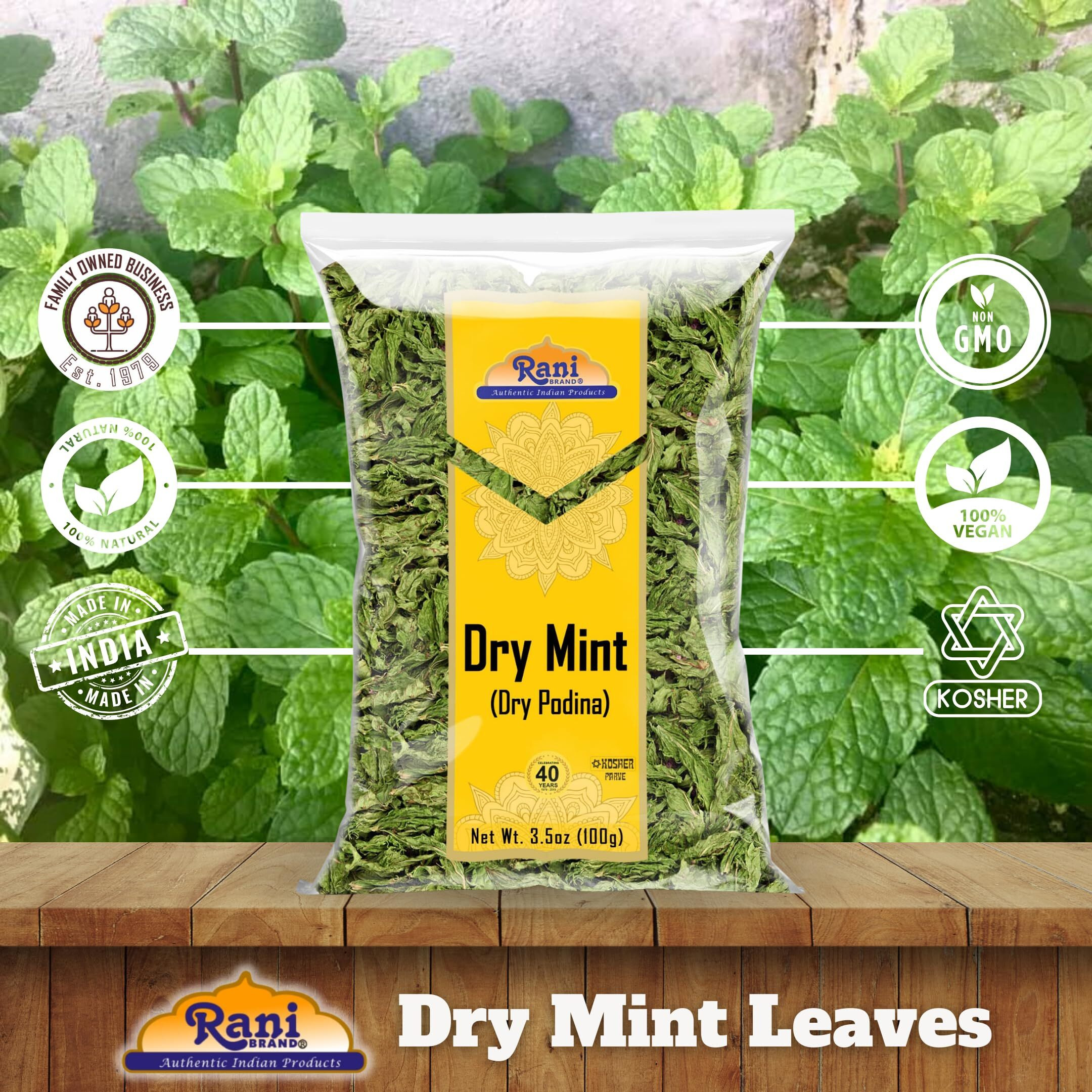 Rani Dry Mint Leaves (Podina Leaf) Spice, Dried Herb 3.5oz (100g) ~ All Natural, Gluten Friendly, NON-GMO, Kosher, Vegan, Indian Origin