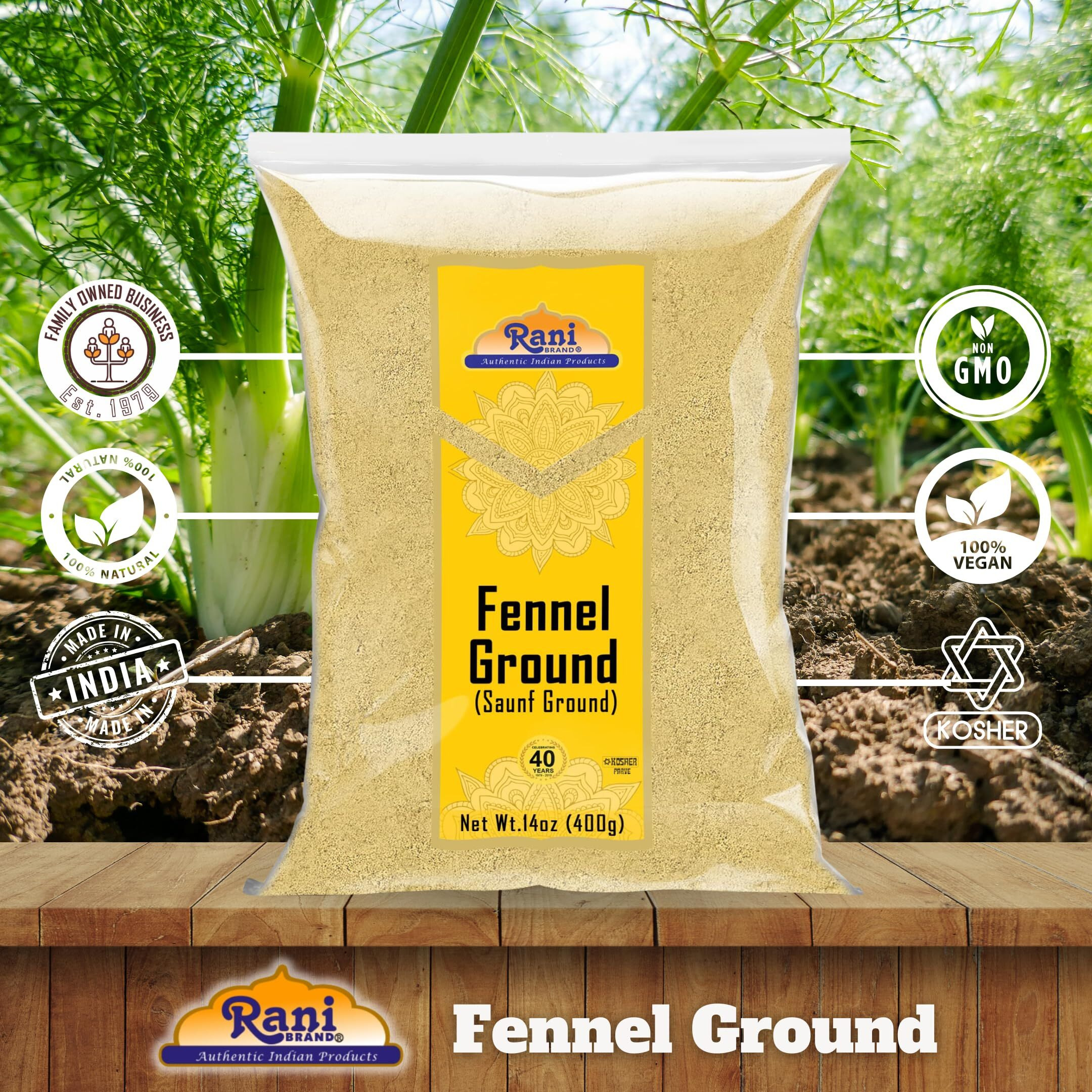 Rani Fennel Ground (Saunf) Powder Spice 14oz (400g) ~ All Natural, Gluten Friendly, NON-GMO, Kosher, Kosher, Vegan, Indian Origin