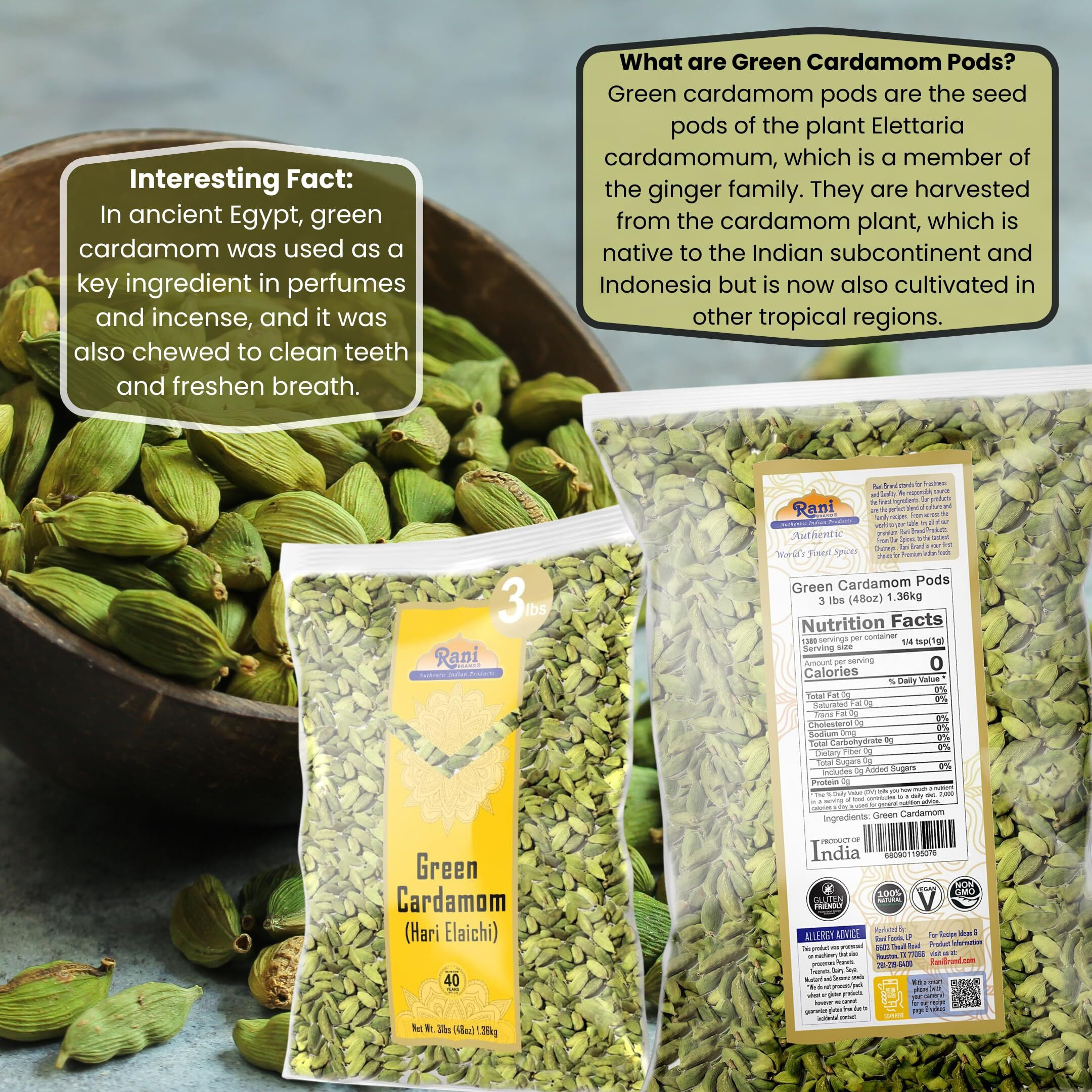 Rani Green Cardamom Pods Spice (Hari Elachi) 48oz (3lbs) 1.36kg Bulk ~ All Natural, Vegan, Gluten Friendly, NON-GMO, Product of India