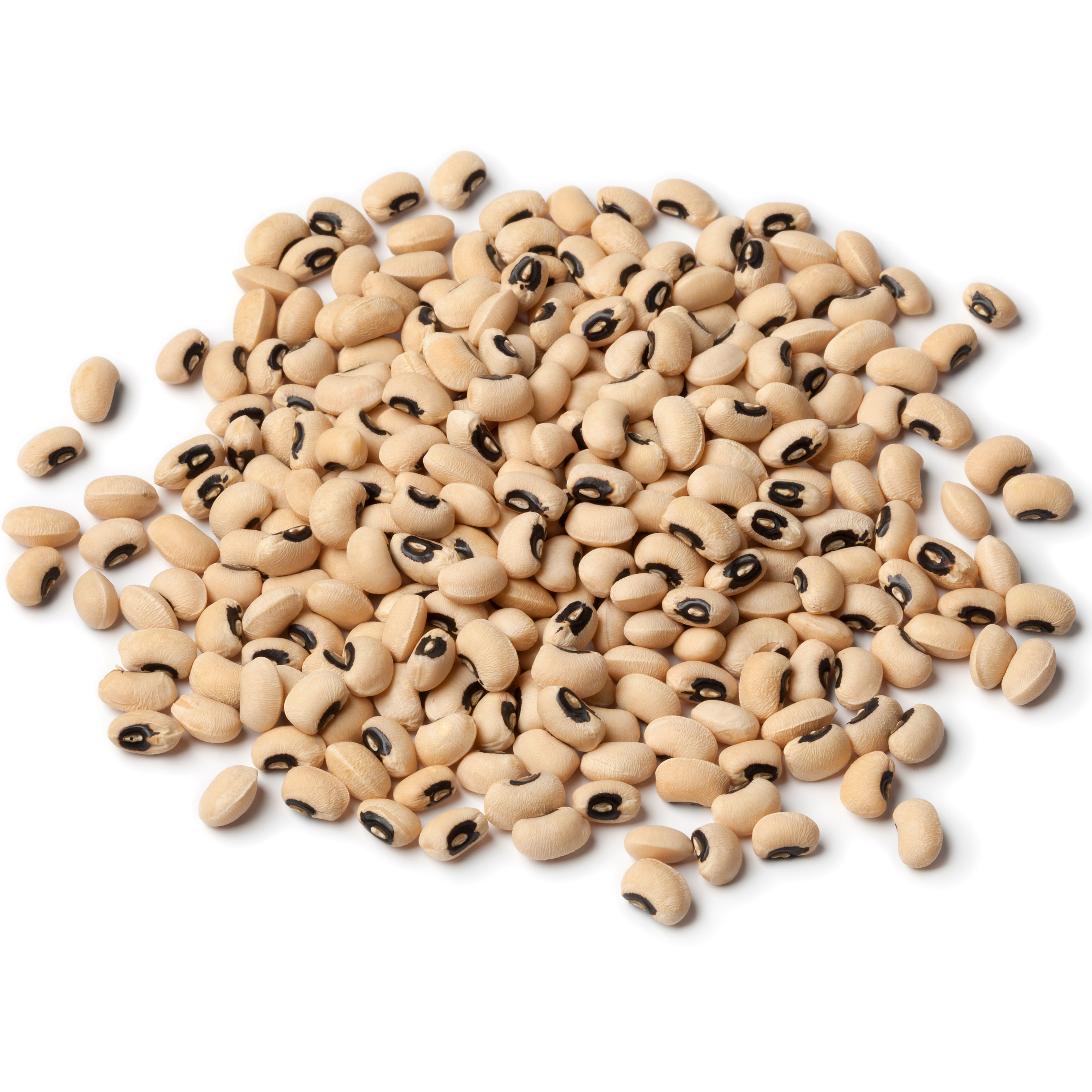 Rani Black Eyed Peas, Dried Cowpeas (Lobhia) 400oz (25lbs) 11.36kg Bulk Box ~ All Natural, Vegan, Kosher, Gluten Friendly, Product of USA