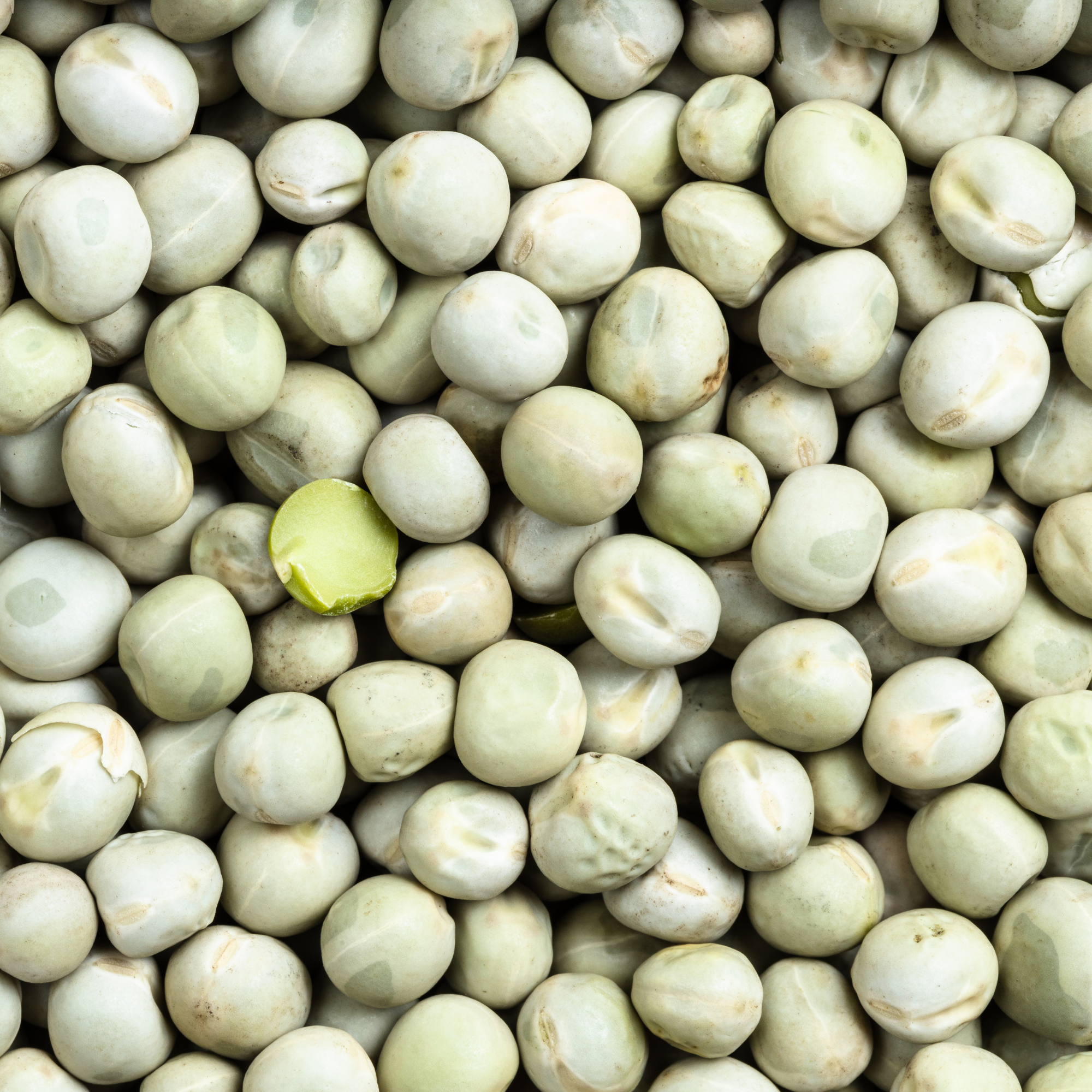 Rani Green Peas Whole, Dried (Vatana, Matar) 400oz (25lbs) 11.36kg Bulk Box ~ All Natural, Vegan, Gluten Friendly, Product of USA