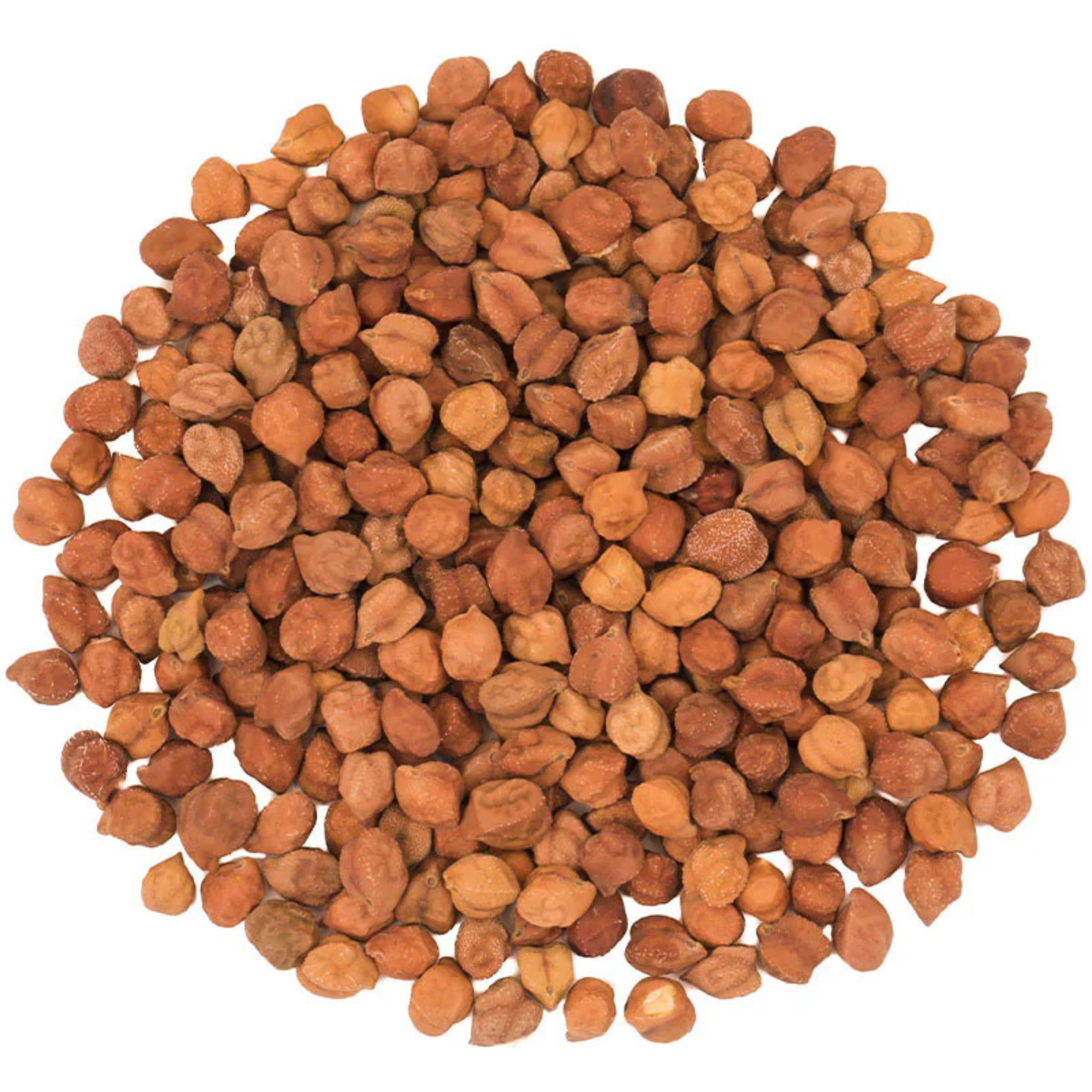 Rani Kala Chana (Desi Chickpeas Chana with skin) 400oz (25lbs) 11.36kg Bulk Box ~ All Natural, Gluten Friendly, NON-GMO, Vegan, Indian Origin
