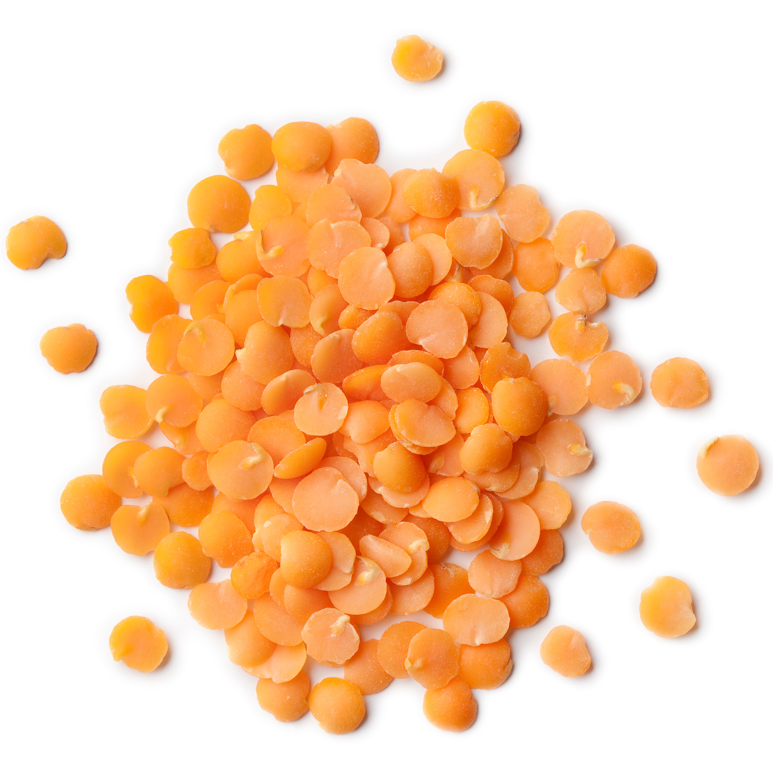 Rani Masoor Dal (Indian Red Lentils) Split Gram 400oz (25lbs) 11.36kg Bulk Box ~ All Natural, Gluten Friendly, NON-GMO, Vegan, Indian Origin