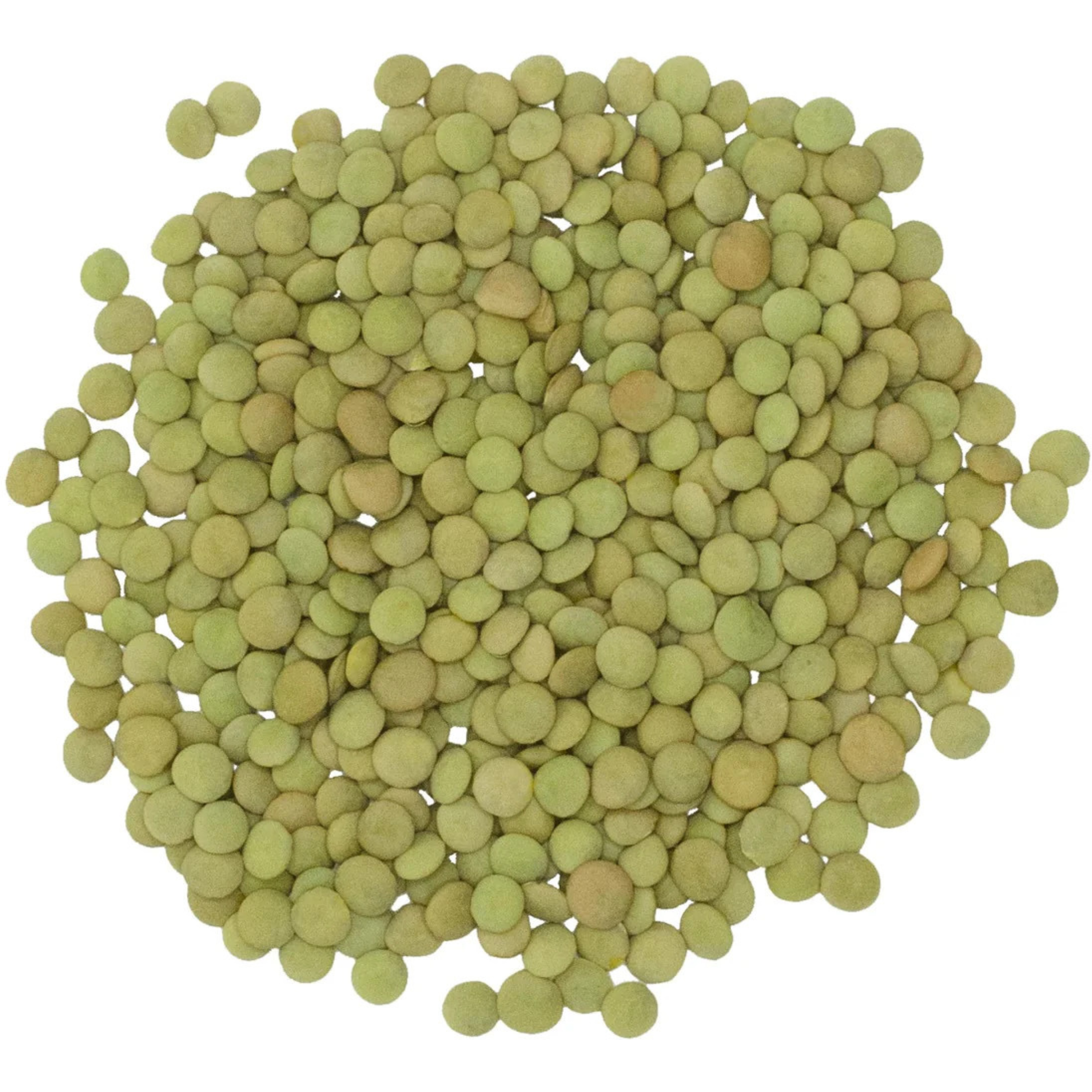 Rani Masoor Whole (Green Lentils Whole With Skin) 400oz (25lbs) 11.36kg Bulk Box ~ All Natural, Vegan, Gluten Friendly, Non-GMO, Kosher, Product of USA