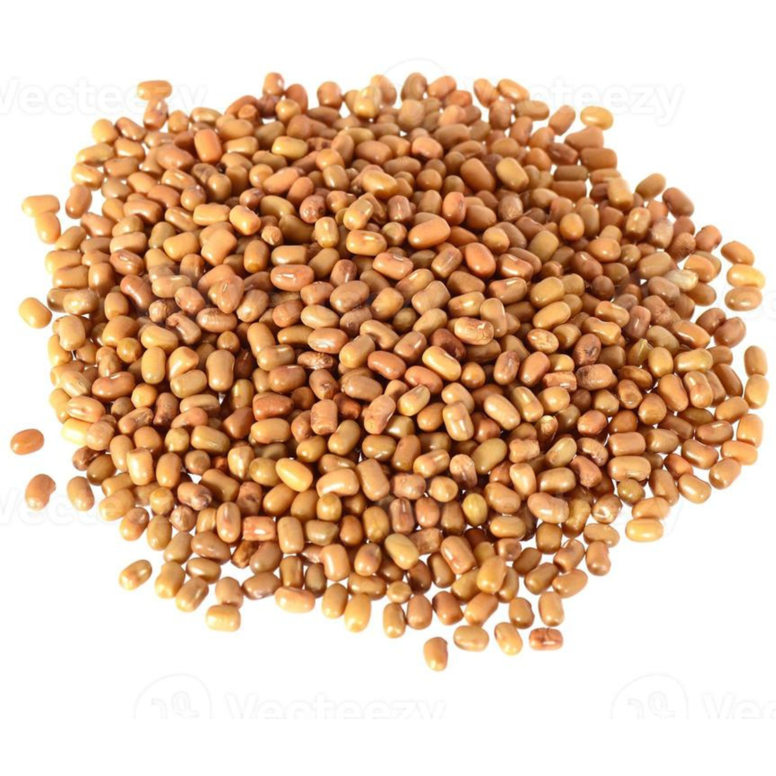 Rani Moth Beans Whole 400oz (25lbs) 11.36kg Bulk Box ~ All Natural, Gluten Friendly, Non-GMO, Kosher, Vegan, Indian Origin