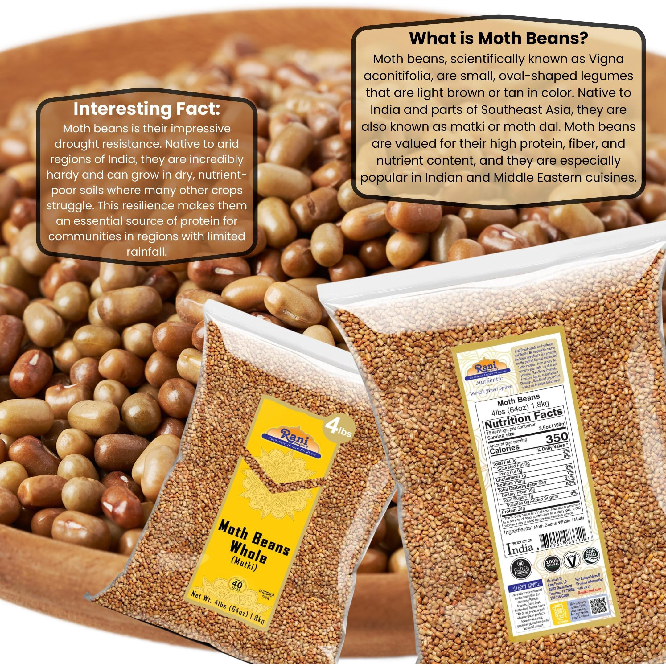 Rani Moth Beans Whole 64oz (4lbs) 1.81kg Bulk ~ All Natural, Gluten Friendly, Non-GMO, Kosher, Vegan, Indian Origin