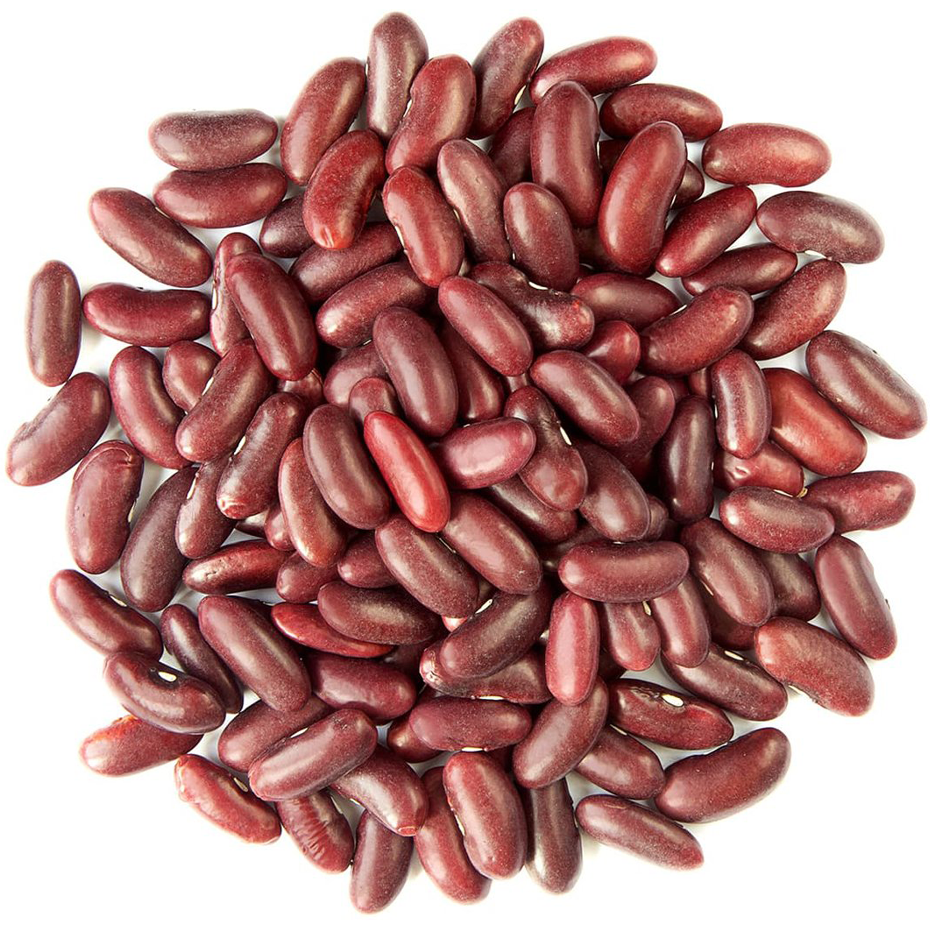 Rani Red Kidney Beans, Dark 400oz (25lbs) 11.36kg Bulk Box ~ All Natural, Vegan, Gluten Friendly, NON-GMO, Kosher, Raj Mah