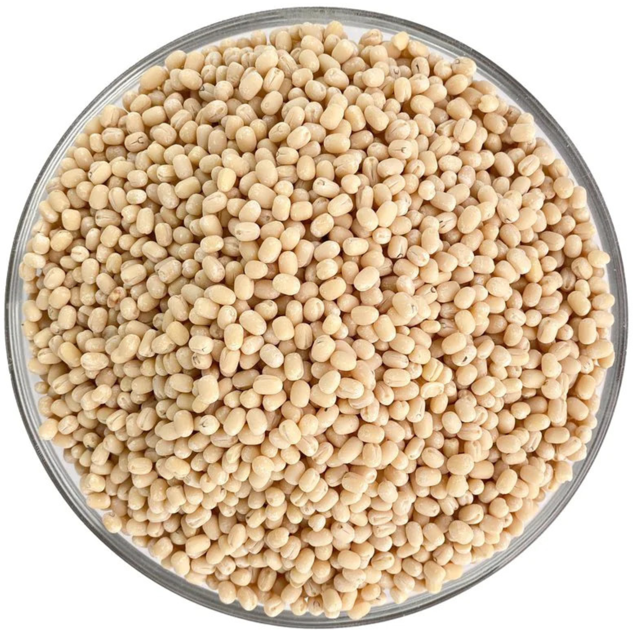 Rani Urid/Urad Gota White (Matpe Beans Skinless) Indian Lentils 400oz (25lbs) 11.36kg Bulk Box ~ All Natural, Gluten Friendly, Non-GMO, Kosher, Vegan, Indian Origin (Size 400oz (25lbs) 11.36kg)