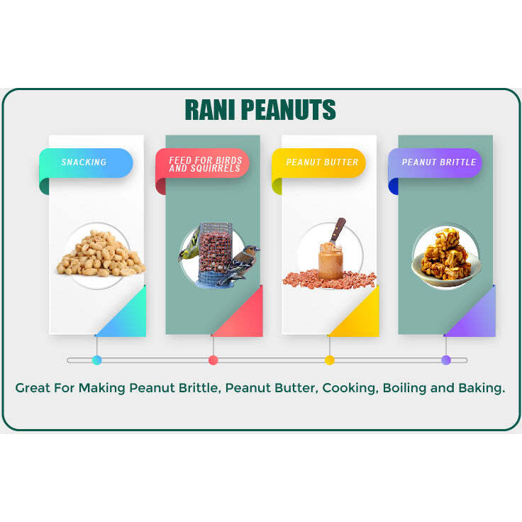 Rani Peanuts, Raw Whole With Skin (uncooked, unsalted) 40oz (2.5lbs) 1.14kg Bulk PET Jar ~ All Natural, Vegan, Gluten Friendly, Fresh Product of USA ~ Spanish Grade Groundnut/Red-skin