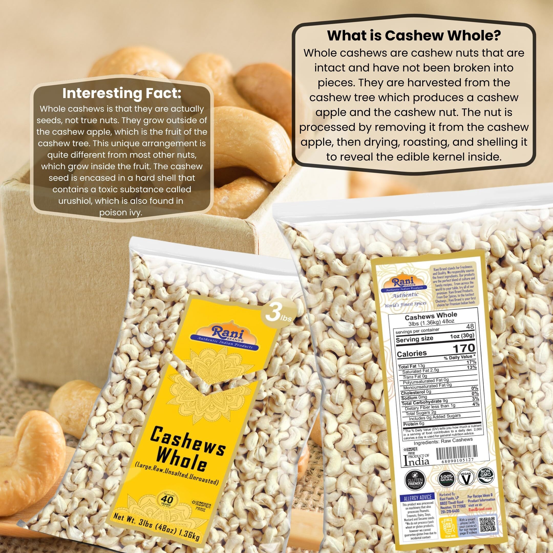 Rani Raw Cashews Whole (uncooked, unsalted) 48oz (3lbs) 1.36kg Bulk ~ All Natural, No Preservatives, Vegan, NON-GMO, Kosher, Gluten Friendly