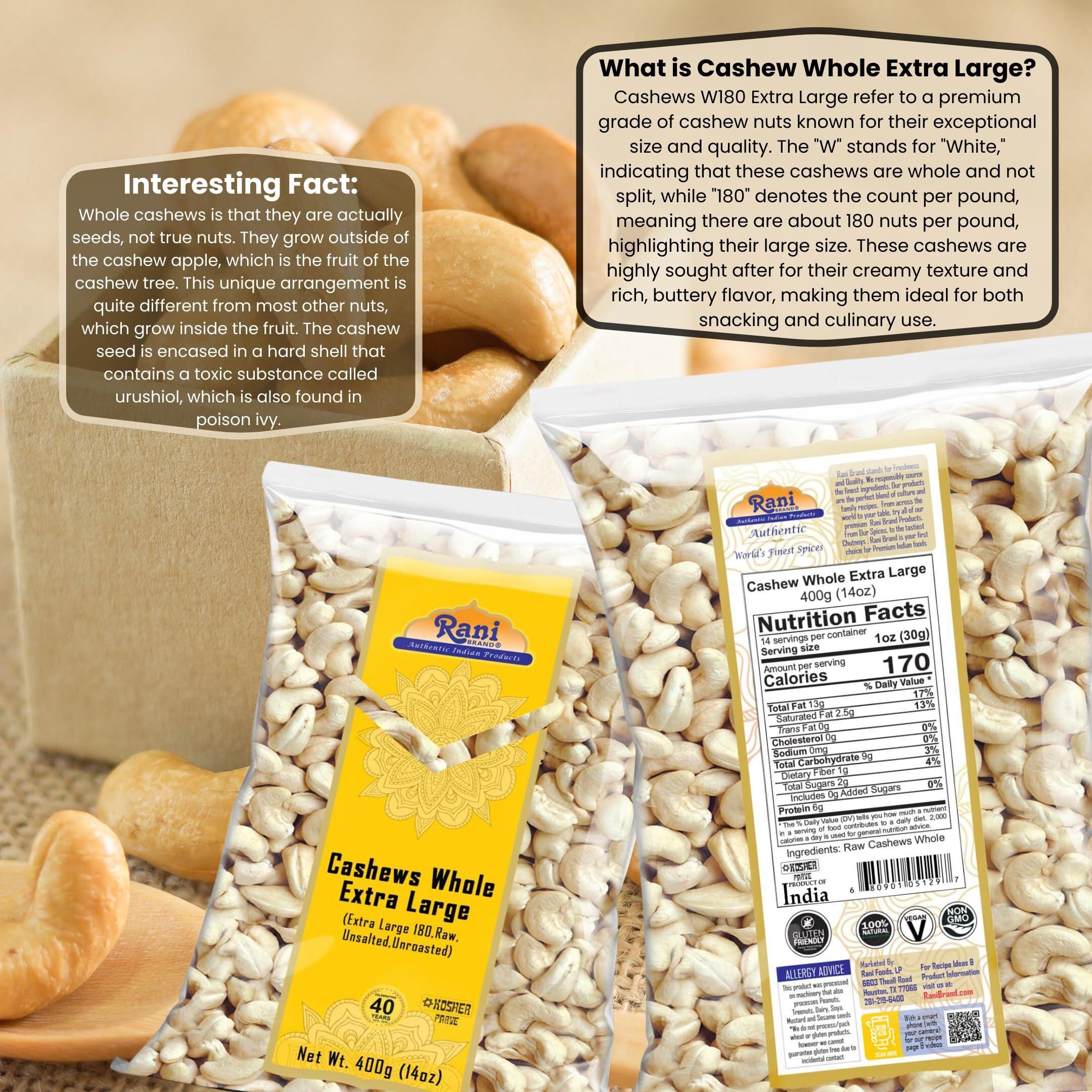 Rani Raw Cashews Whole W180 Extra Large (uncooked, unsalted) 14oz (400g) ~ All Natural, No Preservatives, Vegan, NON-GMO, Kosher, Gluten Friendly