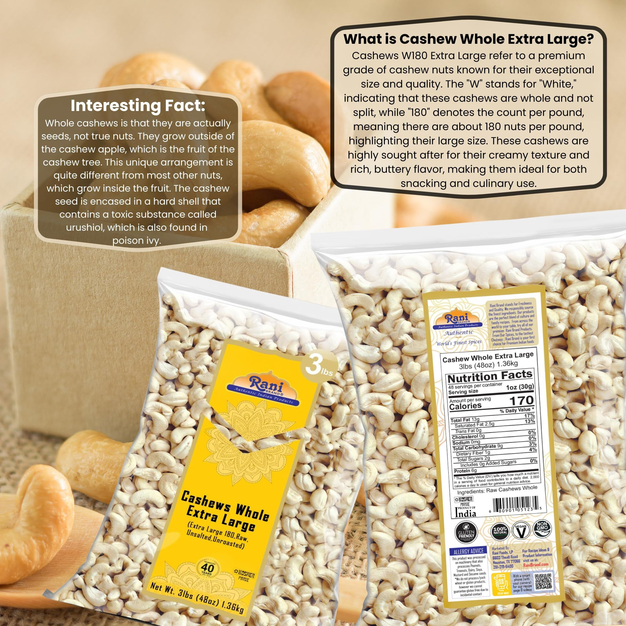Rani Raw Cashews Whole W180 Extra Large (uncooked, unsalted) 48oz (3lbs) 1.36kg Bulk ~ All Natural, No Preservatives, Vegan, NON-GMO, Kosher, Gluten Friendly