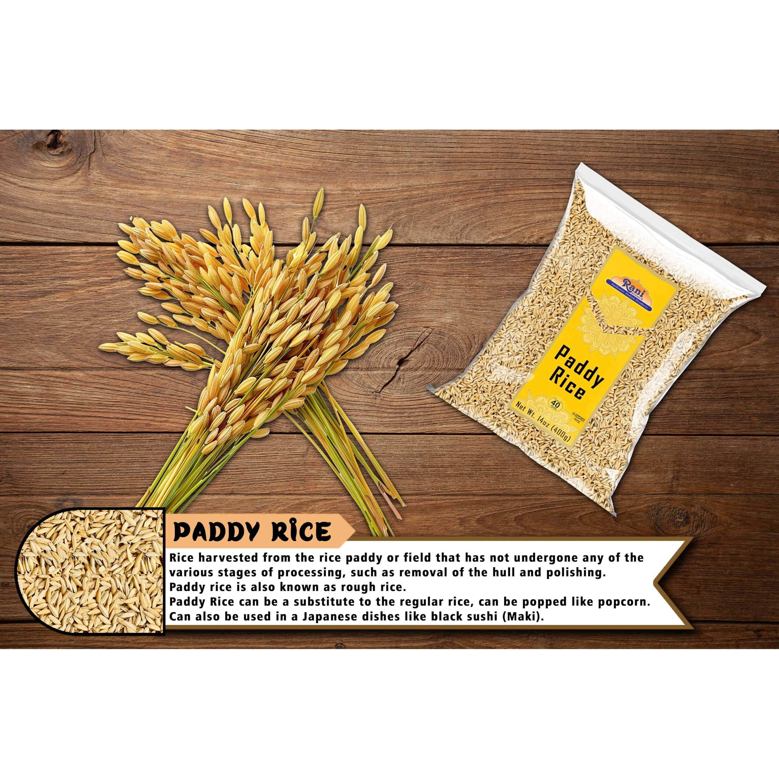 Rani Paddy Rice (Raw Unfinished Rice) 14oz (400g) ~ All Natural, Vegan, Gluten Friendly, NON-GMO, Indian Origin