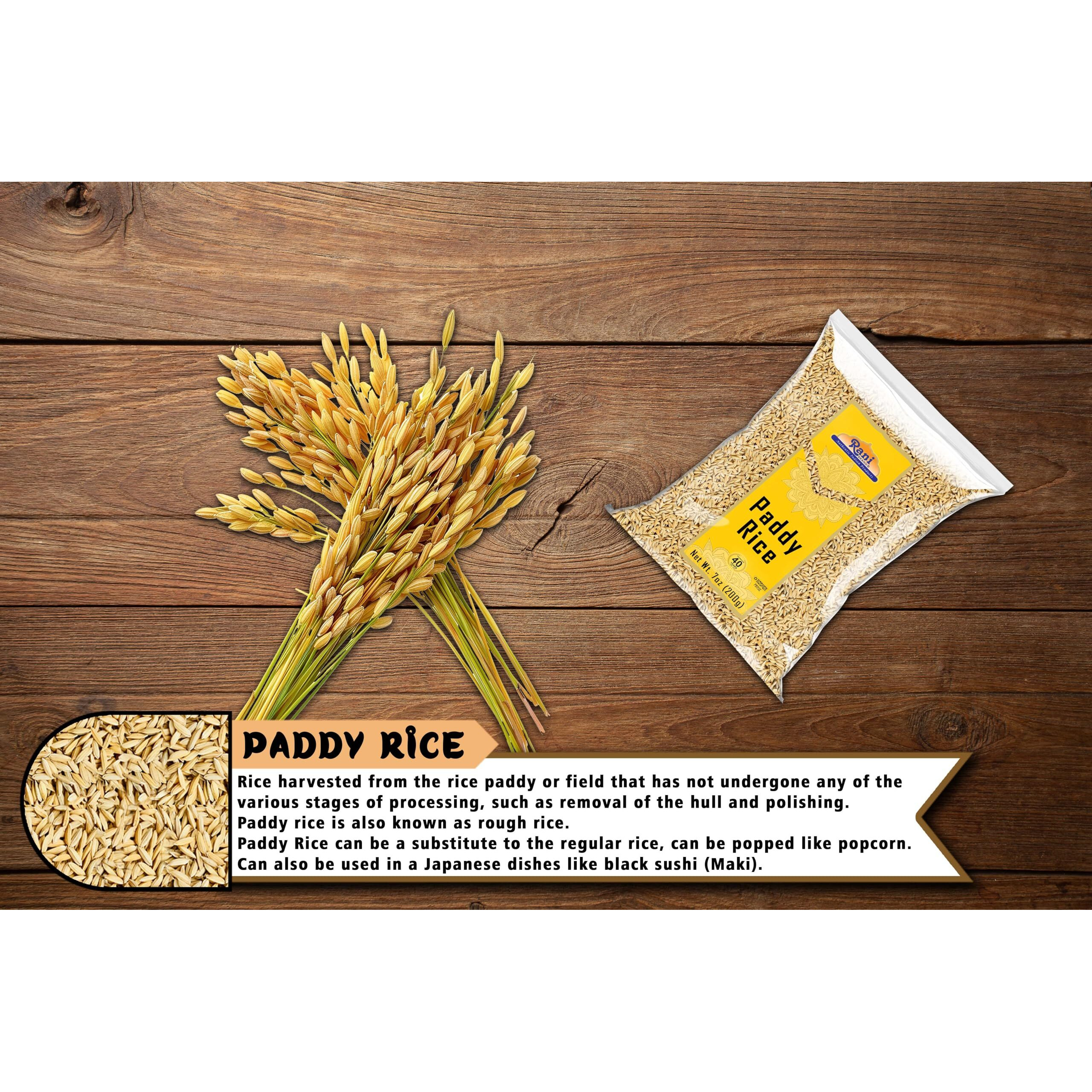 Rani Paddy Rice (Raw Unfinished Rice) 7oz (200g) ~ All Natural, Vegan, Gluten Friendly, NON-GMO, Indian Origin