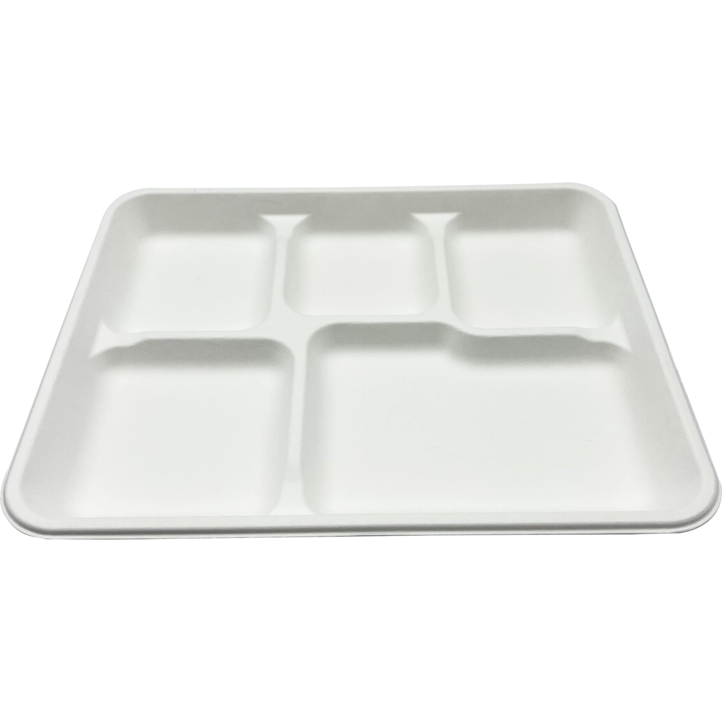 Rani 5 Compartment Square Biodegradable Divided Plates, Pack of 500 ~ Party, Thali, Buffet, Disposable & Eco-Friendly, Heavy-Duty Sturdy Paper Bagasse, Premium Quality, 10.24  x 8.27  x 0.91