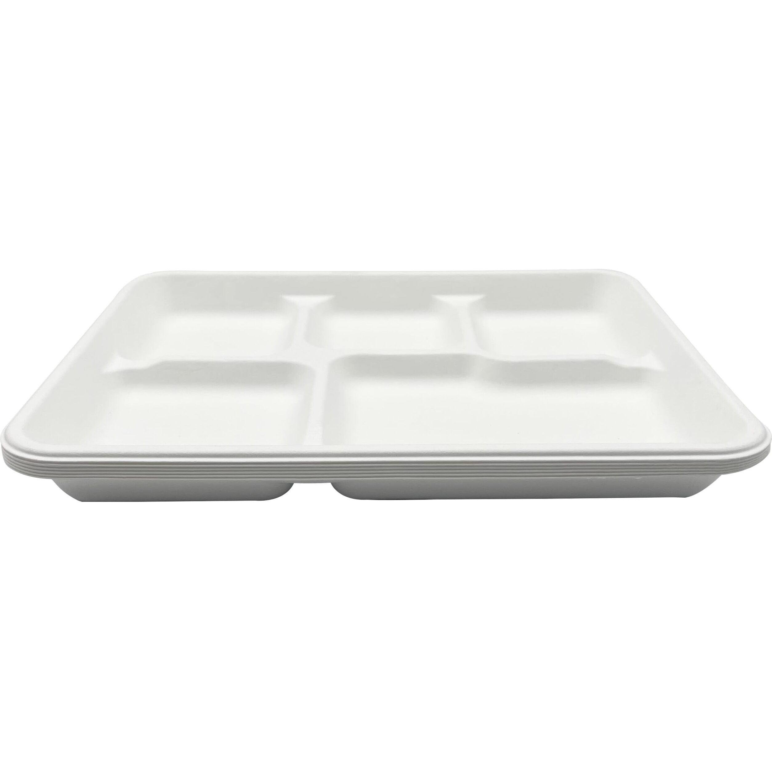 Rani 5 Compartment Square Biodegradable Divided Plates, Pack of 500 ~ Party, Thali, Buffet, Disposable & Eco-Friendly, Heavy-Duty Sturdy Paper Bagasse, Premium Quality, 10.24  x 8.27  x 0.91