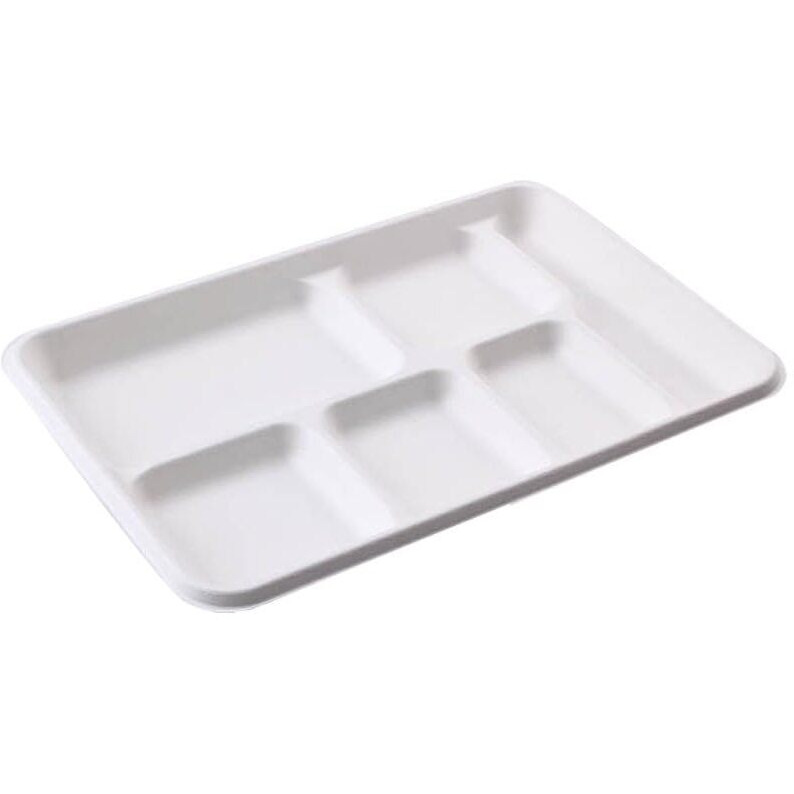 Rani 6 Compartment Square Biodegradable Divided Plates, Pack of 125 ~ Party, Thali, Buffet, Disposable & Eco-Friendly, Heavy-Duty Sturdy Paper Bagasse, Premium Quality, 12.5  x 8.5  x 1.10