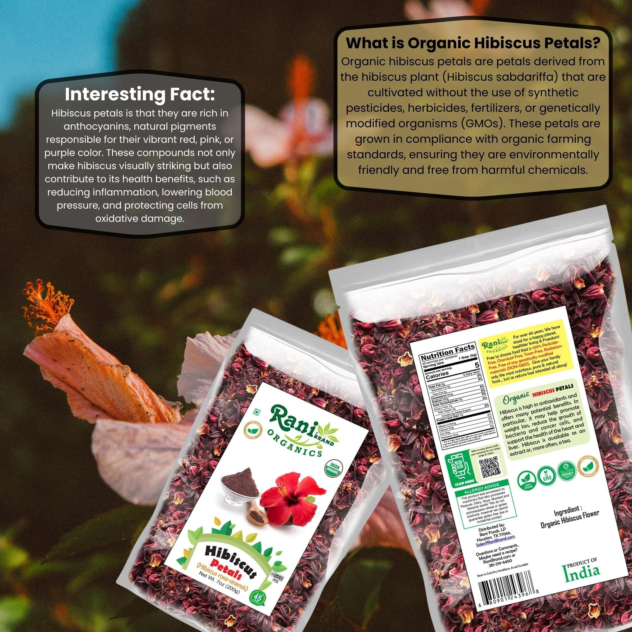 Rani Organic Hibiscus Powder (Hibiscus Rosa-sinensis) 7oz (200g) ~ All Natural, No Color, Gluten Friendly, Vegan, Non-GMO, Kosher, No Salt or fillers, Indian Origin, USDA Organic Certified