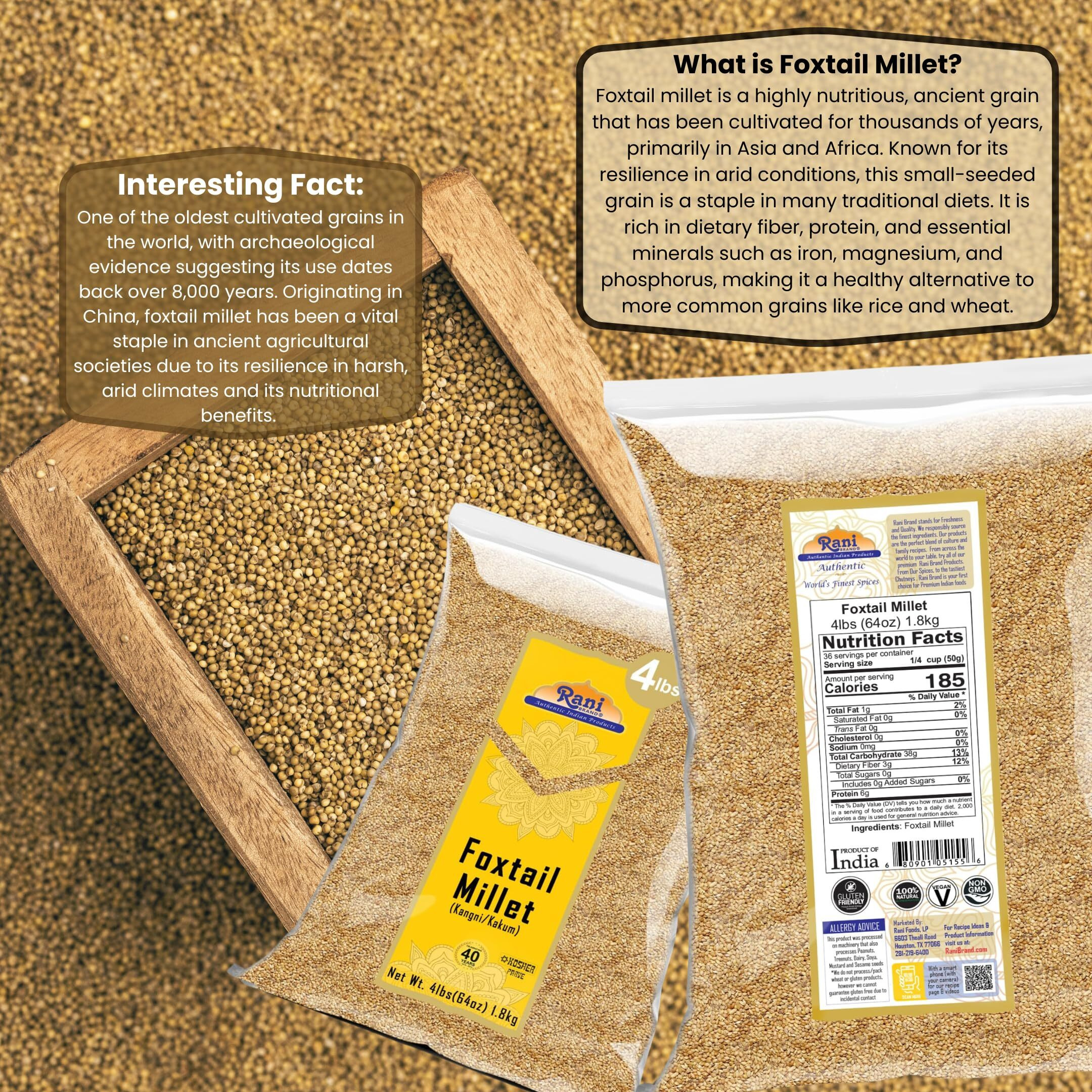 Rani Foxtail Millet Polished (Setaria italica) Ancient Grains 64oz (4lbs) 1.81kg ~ All Natural, Gluten Friendly, NON-GMO, Kosher, Vegan, Indian Origin, Kangi/Kakum/Navane/Tenai