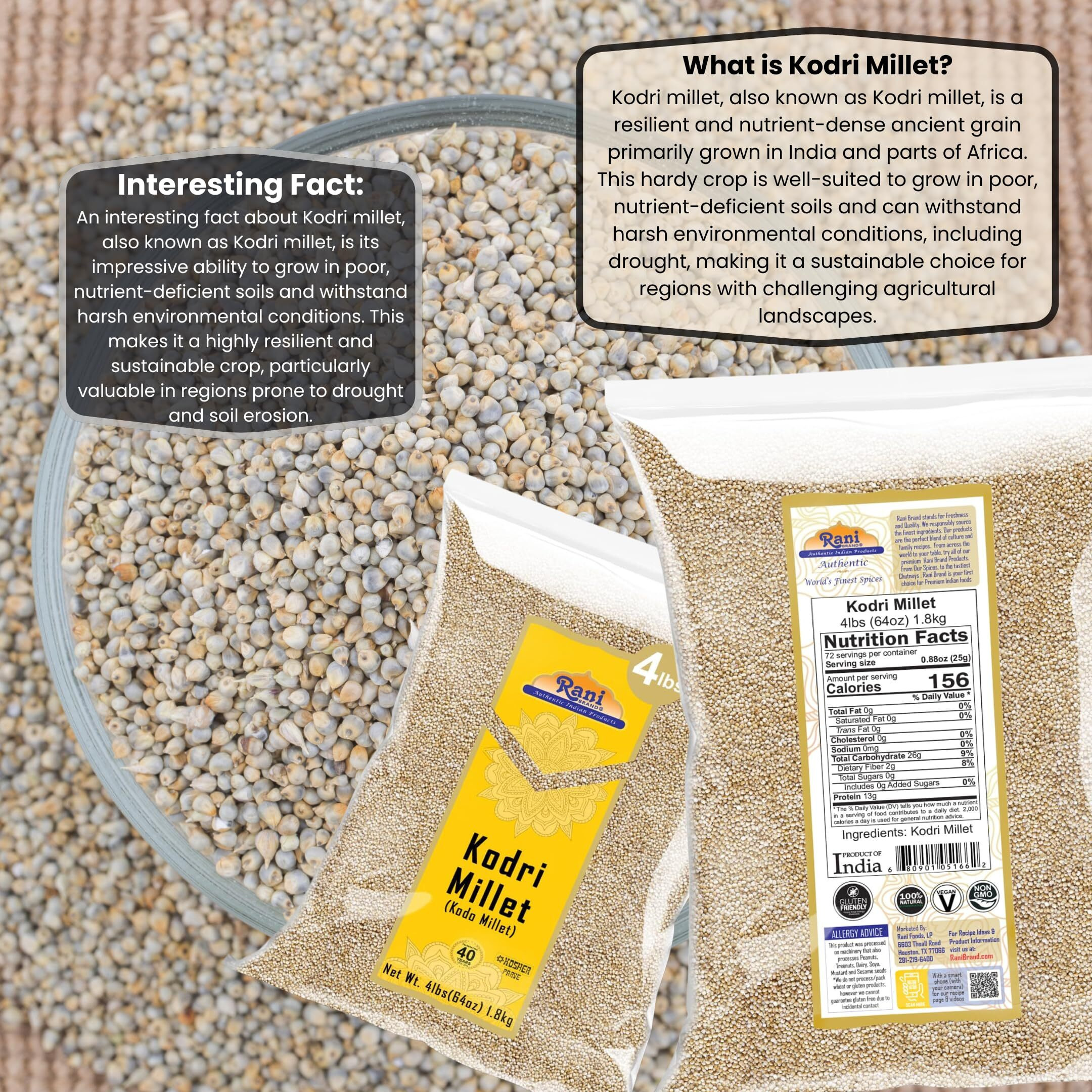 Rani Kodri (Polished Kodo Millet Seeds) Ancient Grains, 64oz (4lbs) 1.81kg ~ All Natural, Gluten Friendly, NON-GMO, Kosher, Vegan, Indian Origin (Varagu/Kodra/Harka)