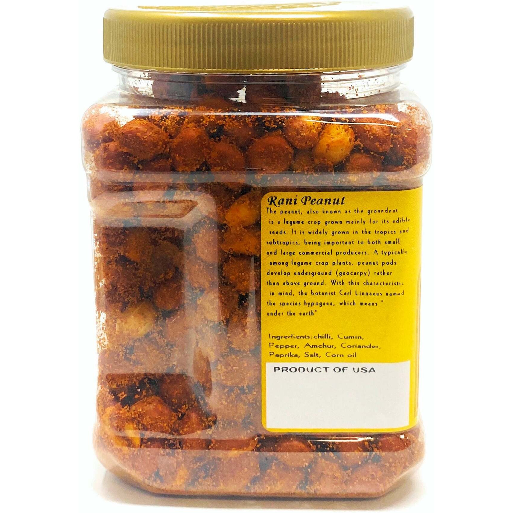 Rani Roasted Masala Peanuts 14oz (400g) PET Jar ~ Freshly Made, All Natural, No Preservatives, Gluten Friendly, Vegan, NON-GMO, Product of USA ~ Spanish Grade Groundnut