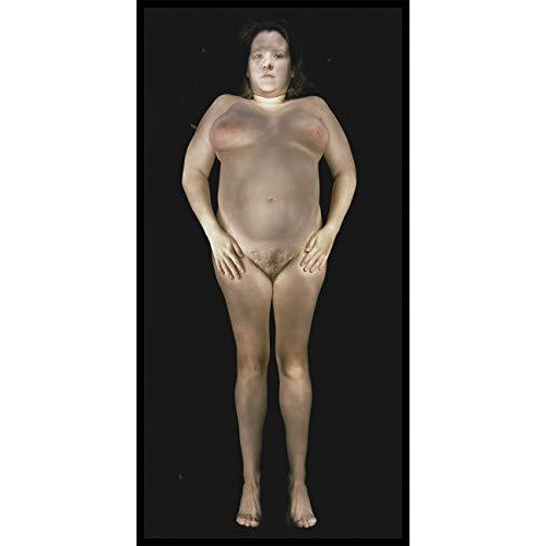 Gary Schneider: Nudes [Hardcover]