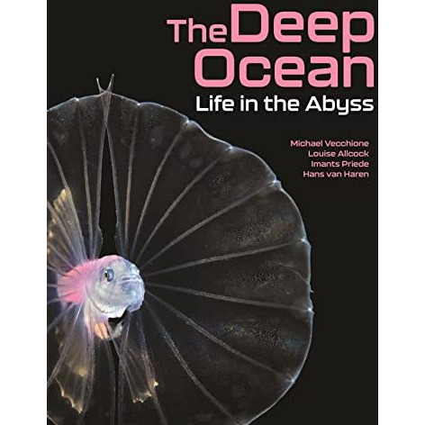 The Deep Ocean: Life in the Abyss [Hardcover]