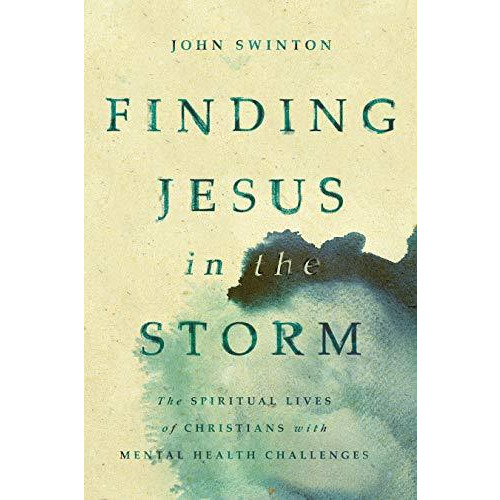 Finding Jesus In The Storm               [TRADE PAPER         ]