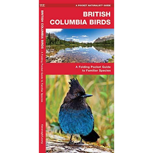 British Columbia Birds: A Folding Pocket Guide to Familiar Species [Pamphlet]