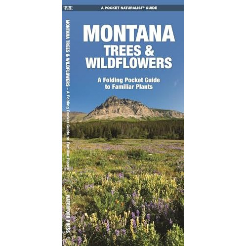 Montana Trees & Wildflowers: A Folding Pocket Guide to Familiar Species [Pamphlet]
