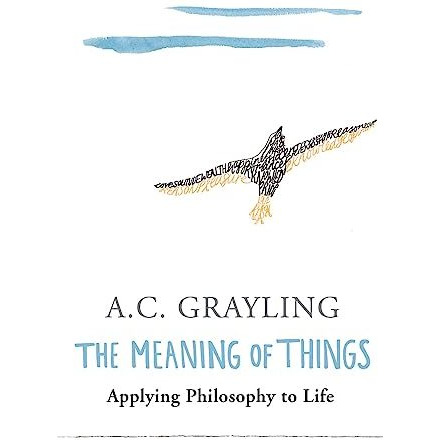 The Meaning of Things [Paperback]