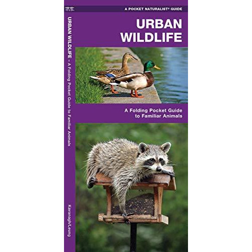 Urban Wildlife: A Folding Pocket Guide to Familiar Species [Pamphlet]