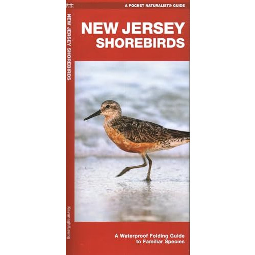 New Jersey Shorebirds: A Waterproof Folding Guide to Familiar Species [Pamphlet]