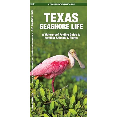 Texas Seashore Life: A Waterproof Folding Guide to Familiar Animals & Plants [Pamphlet]