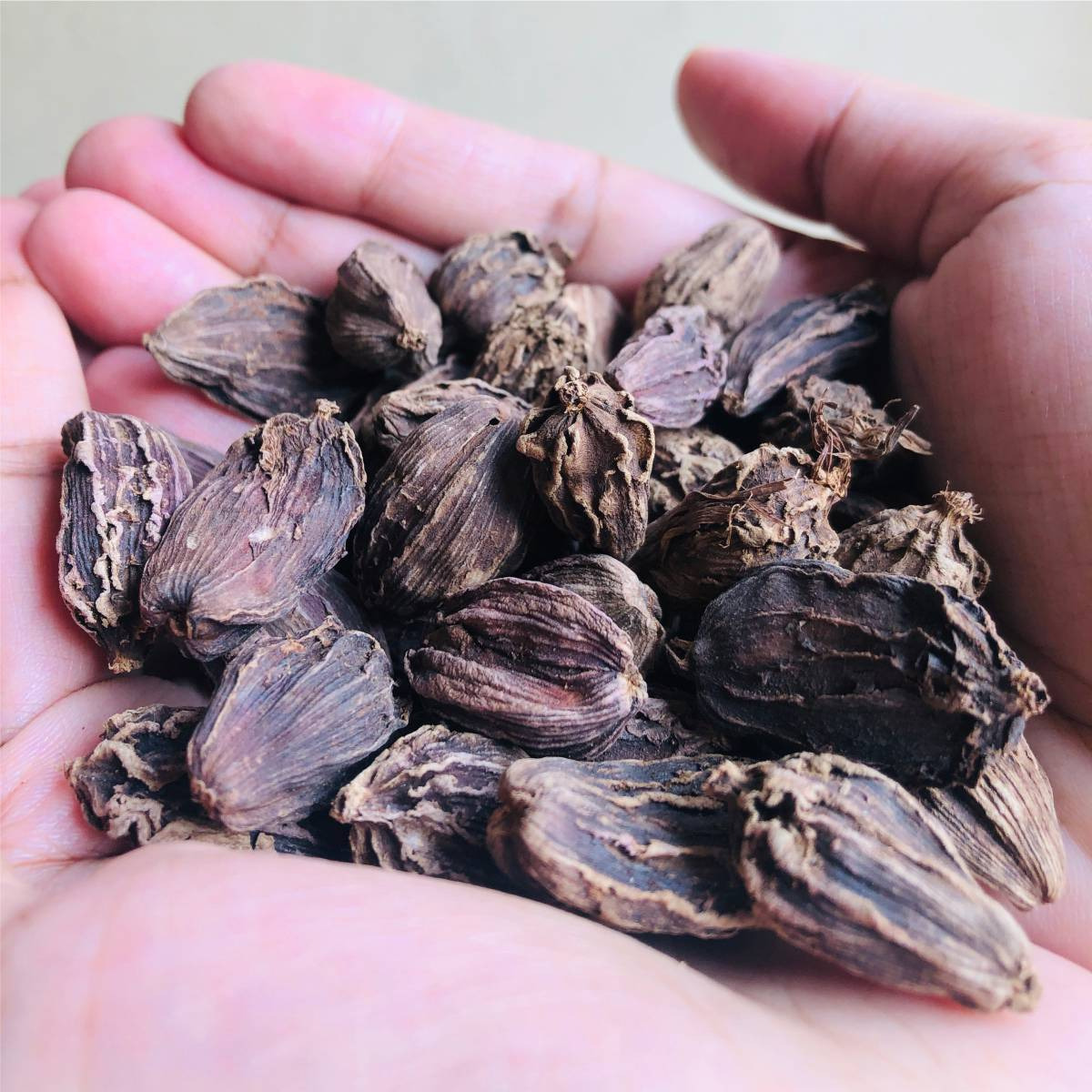 EL The Cook Whole Black Cardamom Pods | Aromatic Indian Spice | Natural, Vegan, Gluten Free, NON-GMO, Resealable Bag | Ideal for Indian, Chinese Cooking, Tea, Baking & Desserts | 3.5oz (100gm) (Flavor Black Cardamom)