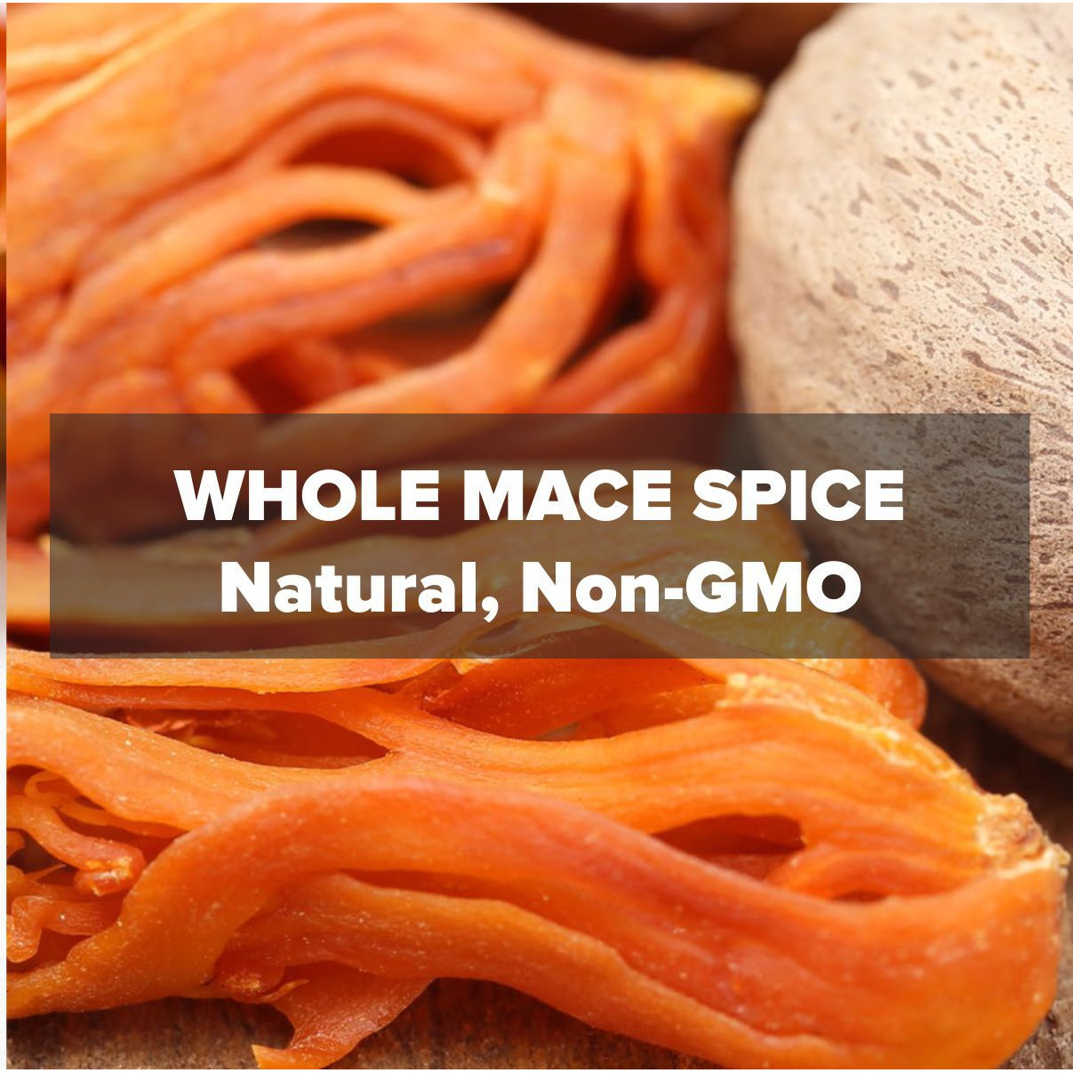 EL The Cook Whole Mace Spice/Javithri/Javitri | Aromatic Indian Spice | Natural, Vegan, Gluten Free, NON-GMO, Resealable Bag | Ideal for Indian, Asian Cooking, Tea, Coffee, Baking & Mulling Wine | 0.88oz (25gm) (Flavor Mace/Javitri)