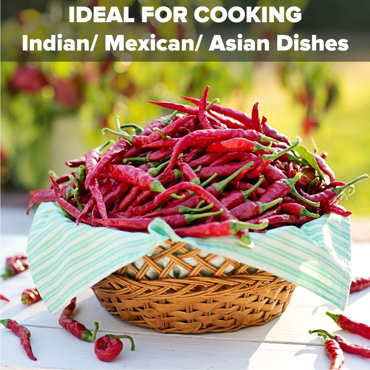 EL The Cook Whole Dried Red Chili Peppers | Spicy Hot Chilli | Natural, Vegan, No Colors, Gluten Free, NON-GMO | Resealable Bag, Sun-Dried | Ideal for Asian, Thai, Indian, Mexican | 7oz (2 x 100gm) (Flavor Spicy Red Chilly)