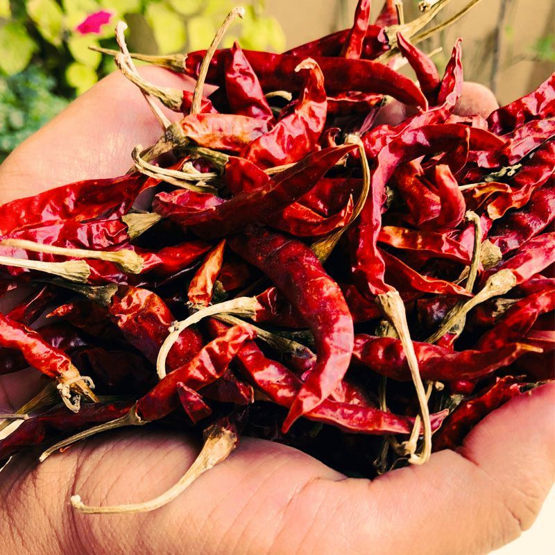 EL The Cook Whole Dried Red Chili Peppers | Spicy Hot Chilli | Natural, Vegan, No Colors, Gluten Free, NON-GMO | Resealable Bag, Sun-Dried | Ideal for Asian, Thai, Indian, Mexican | 7oz (2 x 100gm) (Flavor Spicy Red Chilly)