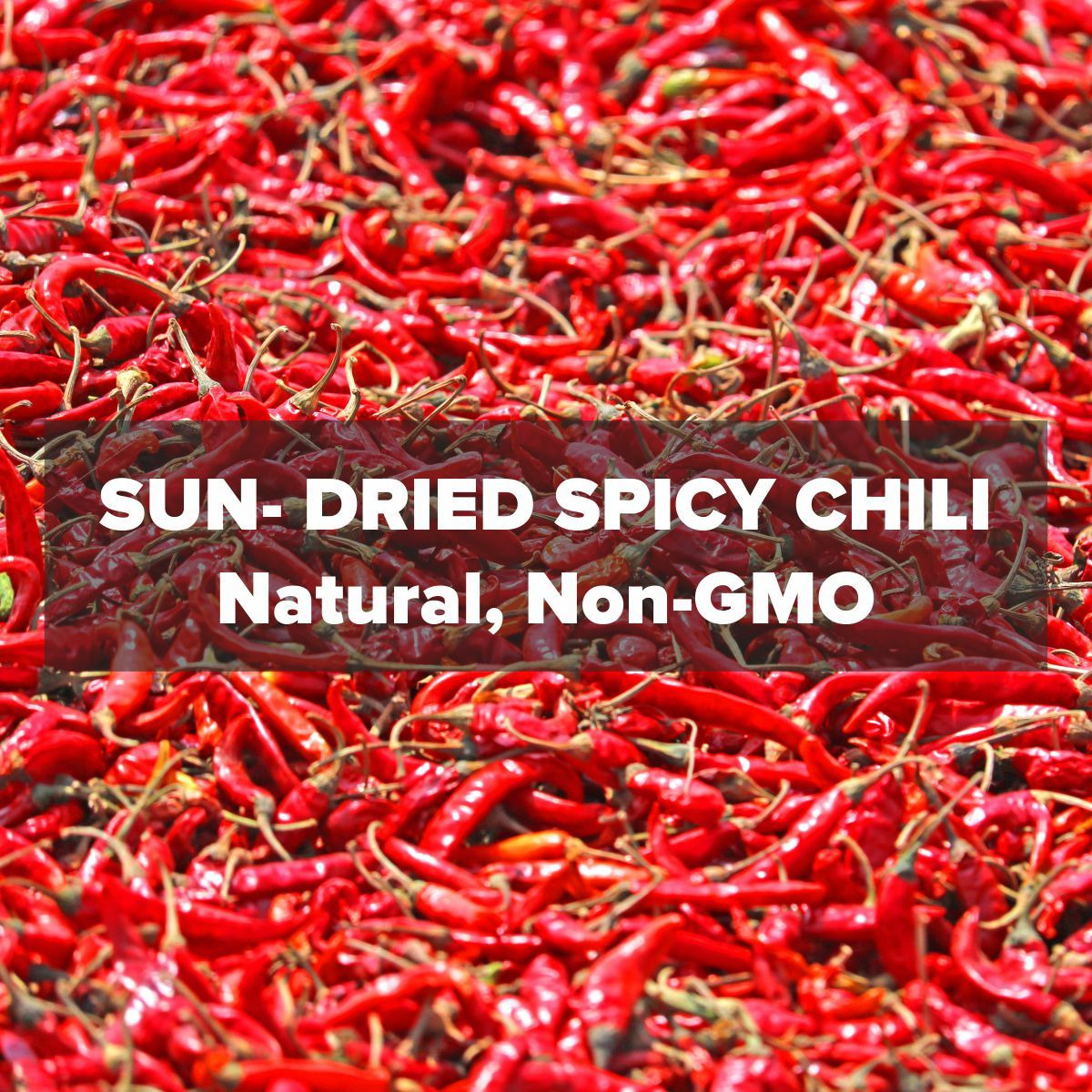 EL The Cook Whole Dried Red Chili Peppers | Spicy Hot Chilli | Natural, Vegan, No Colors, Gluten Free, NON-GMO | Resealable Bag, Sun-Dried | Ideal for Asian, Thai, Indian, Mexican | 7oz (2 x 100gm) (Flavor: Spicy Red Chilly)