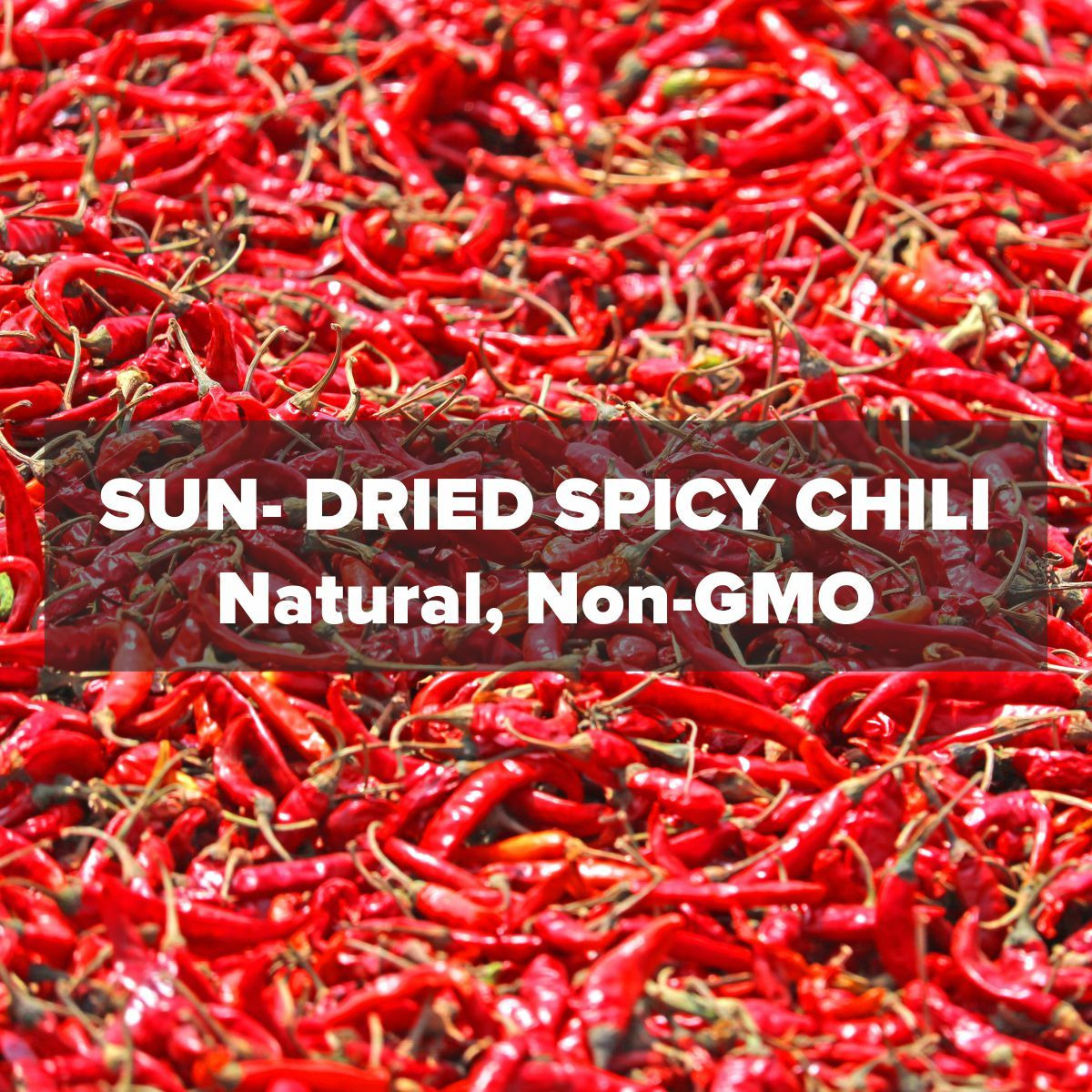 EL The Cook Whole Dried Red Chili Peppers | Spicy Hot Chilli | Natural, Vegan, No Colors, Gluten Free, NON-GMO | Resealable Bag, Sun-Dried | Ideal for Asian, Thai, Indian, Mexican | 7oz (2 x 100gm) (Flavor Spicy Red Chilly)