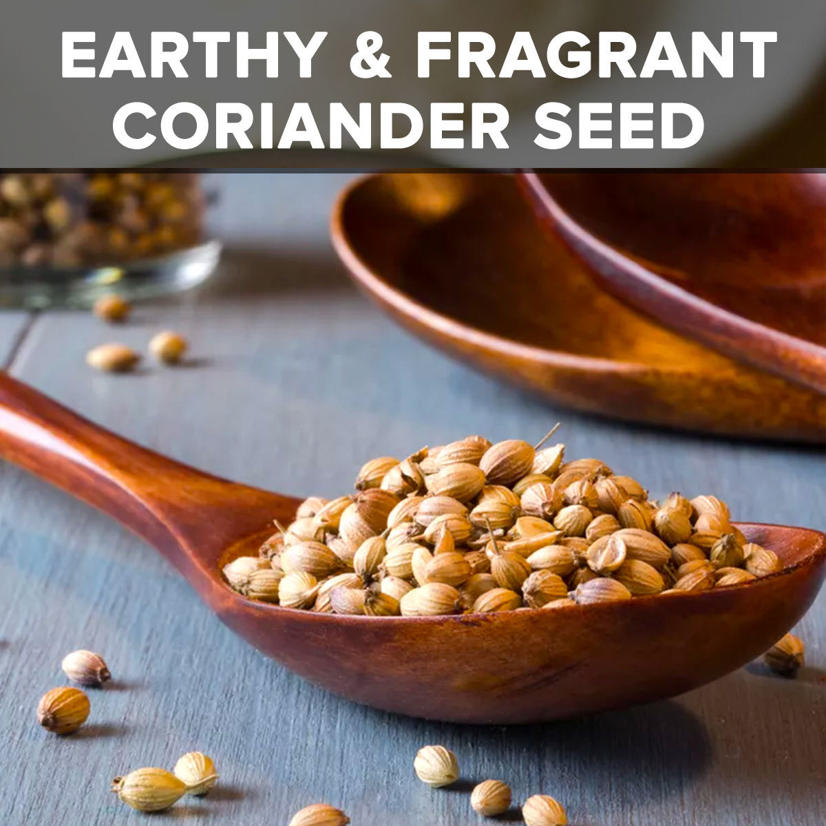 El The Cook Coriander Seeds | Lab Tested for Purity | Resealable Bag, Non-GMO Verified Project Approved, 100% Raw from India | 3.5 oz (100g) (Flavor Coriander Seed)