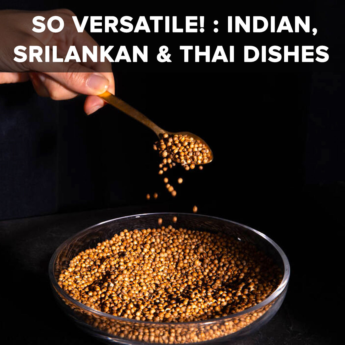 El The Cook Coriander Seeds | Lab Tested for Purity | Resealable Bag, Non-GMO Verified Project Approved, 100% Raw from India | 3.5 oz (100g) (Flavor Coriander Seed)