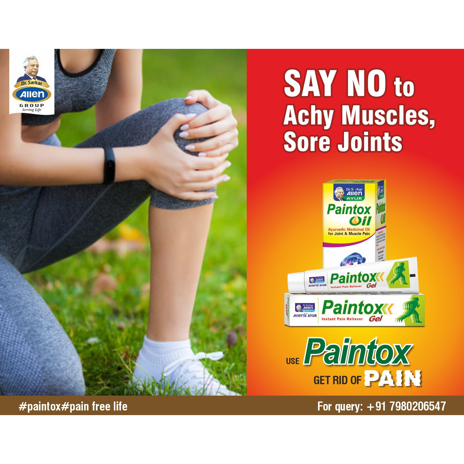 Allen Laboratories Paintox Oil 100 ml (Pack of 2)