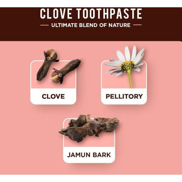 Dabur Herbal Toothpaste with Clove (3.38 oz tube)