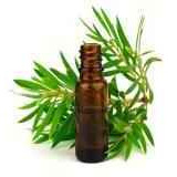 ALL NATURALS TEA TREE OIL