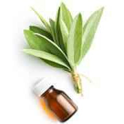 ALL NATURAL SAGE OIL
