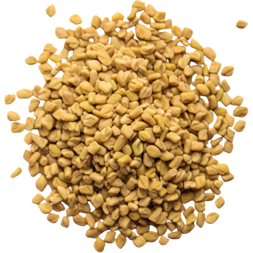 RAJ GLOBAL FENUGREEK SEEDS